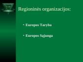 Regioninė Europos žmogaus teisių sistema 2 puslapis