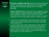 Regioninė Europos žmogaus teisių sistema 13 puslapis