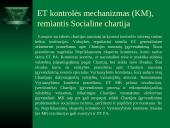 Regioninė Europos žmogaus teisių sistema 14 puslapis