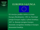 Regioninė Europos žmogaus teisių sistema 17 puslapis