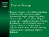 Regioninė Europos žmogaus teisių sistema 19 puslapis
