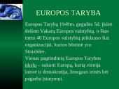 Regioninė Europos žmogaus teisių sistema 3 puslapis