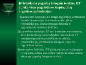 Regioninė Europos žmogaus teisių sistema 5 puslapis