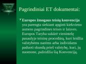 Regioninė Europos žmogaus teisių sistema 7 puslapis