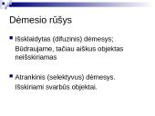 Sąmonės būsenos. Dėmesys 11 puslapis
