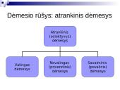 Sąmonės būsenos. Dėmesys 12 puslapis