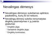 Sąmonės būsenos. Dėmesys 13 puslapis