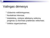 Sąmonės būsenos. Dėmesys 16 puslapis