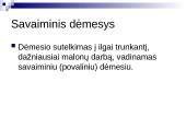 Sąmonės būsenos. Dėmesys 17 puslapis