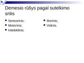Sąmonės būsenos. Dėmesys 18 puslapis