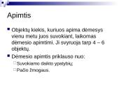 Sąmonės būsenos. Dėmesys 20 puslapis