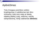 Sąmonės būsenos. Dėmesys 5 puslapis