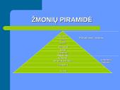 Senovės Egiptas ir jo charakteristika 5 puslapis