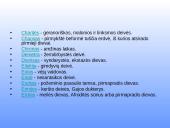 Senovės Graikijos ir Romos religija 12 puslapis