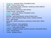 Senovės Graikijos ir Romos religija 15 puslapis