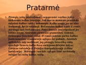 Senųjų raštų rašybos ypatumai (skaidrės) 2 puslapis