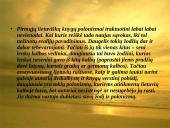 Senųjų raštų rašybos ypatumai (skaidrės) 11 puslapis