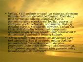 Senųjų raštų rašybos ypatumai (skaidrės) 13 puslapis