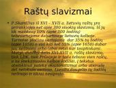 Senųjų raštų rašybos ypatumai (skaidrės) 15 puslapis