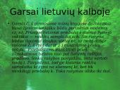 Senųjų raštų rašybos ypatumai (skaidrės) 16 puslapis