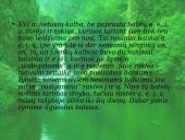 Senųjų raštų rašybos ypatumai (skaidrės) 17 puslapis