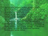 Senųjų raštų rašybos ypatumai (skaidrės) 18 puslapis