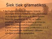 Senųjų raštų rašybos ypatumai (skaidrės) 4 puslapis