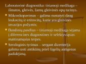 Shigella gentis 12 puslapis