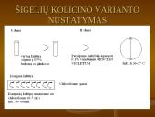 Shigella gentis 13 puslapis