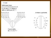 Shigella gentis 14 puslapis