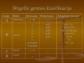 Shigella gentis 3 puslapis