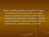 Shigella gentis 4 puslapis