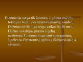 Shigella gentis 6 puslapis