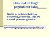 Skaičiuoklės 13 puslapis