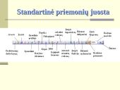 Skaičiuoklės 14 puslapis
