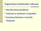 Skaičiuoklės 17 puslapis