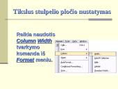 Skaičiuoklės 20 puslapis