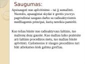 Slaugytojo sveikata ir darbo sauga 16 puslapis