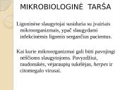 Slaugytojo sveikata ir darbo sauga 17 puslapis