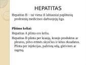 Slaugytojo sveikata ir darbo sauga 18 puslapis