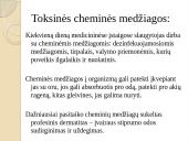 Slaugytojo sveikata ir darbo sauga 6 puslapis