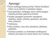 Slaugytojo sveikata ir darbo sauga 8 puslapis