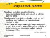 Slaugos modelių samprata 2 puslapis