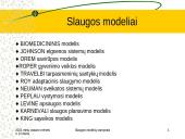 Slaugos modelių samprata 12 puslapis