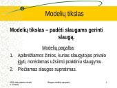 Slaugos modelių samprata 14 puslapis