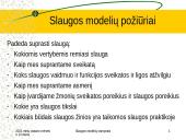 Slaugos modelių samprata 15 puslapis
