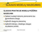 Slaugos modelių samprata 16 puslapis