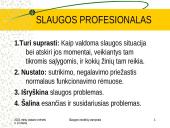 Slaugos modelių samprata 20 puslapis