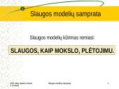 Slaugos modelių samprata 3 puslapis