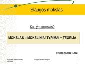 Slaugos modelių samprata 4 puslapis